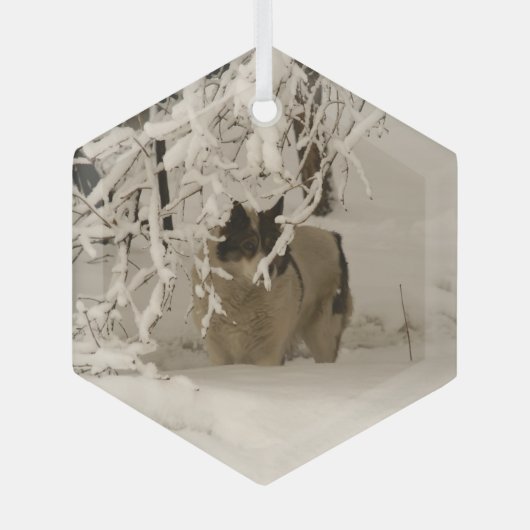 Hond in de winter glas ornament (Voorkant)