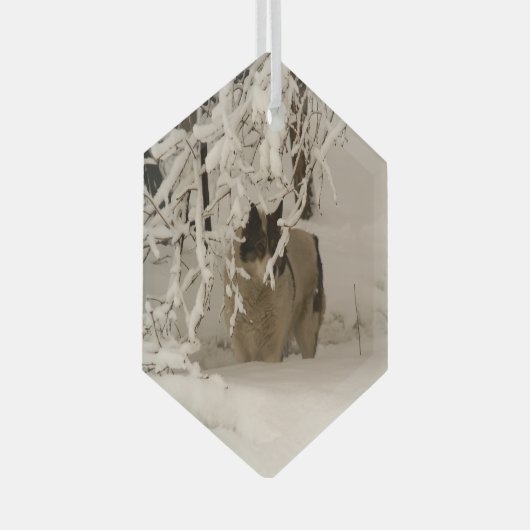 Hond in de winter glas ornament (Voorkant Rechts)