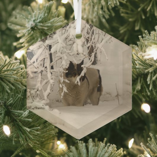 Hond in de winter glas ornament (Insitu)