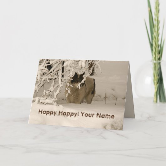 Hond in de winter kaart (Voorkant)