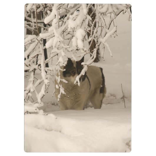 Hond in de winter klembord (Achterkant)