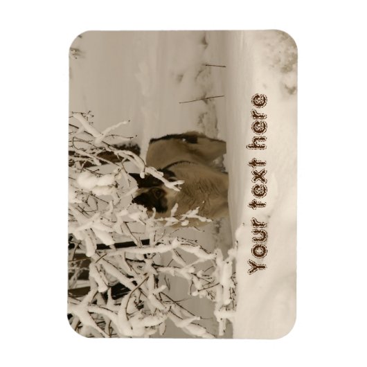 Hond in de winter magneet (Verticaal)