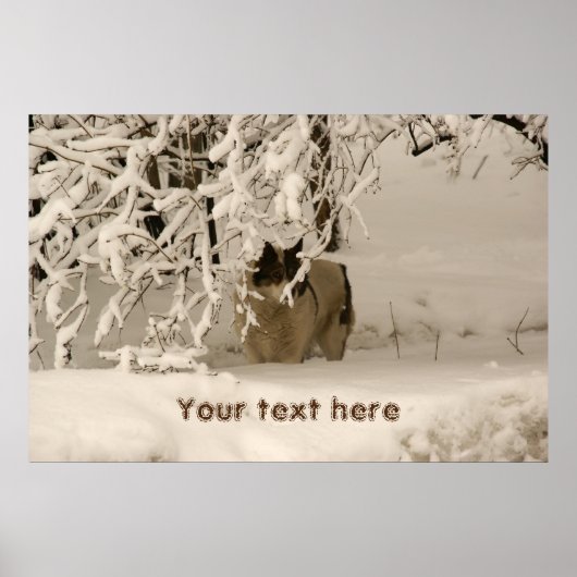 Hond in de winter poster (Voorkant)
