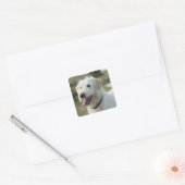 Hond in dopheideland vierkante sticker (Envelop)