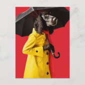 Hond in een gele regenjas briefkaart (Voorkant)