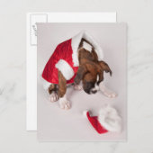 Hond in een kostuum van de Kerstman Feestdagenkaart (Voorkant / Achterkant)