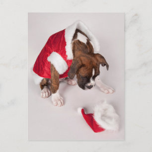 Hond in een kostuum van de Kerstman Feestdagenkaart