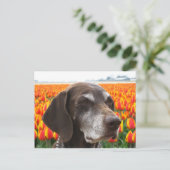 hond in een tulpenveld briefkaart (Staand voorkant)