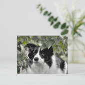  Hond in Green Leafy Woodland Briefkaart (Staand voorkant)
