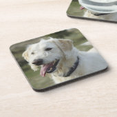 Hond in heide land. drankjes onderzetter (Linkerzijde)