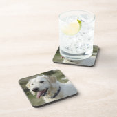 Hond in heide land. drankjes onderzetter (Rechterzijde)