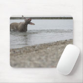 Hond in het meer van water schudden muismat (Met muis)