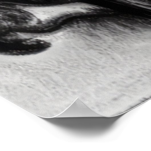 Hond in het park zwart-wit AI Art Poster (Hoek)