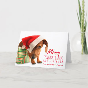 Hond in het pet van de Kerstman Feestdagen Kaart