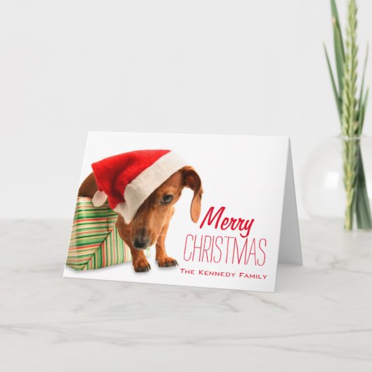 Hond in het pet van de Kerstman Feestdagen Kaart (Voorkant)