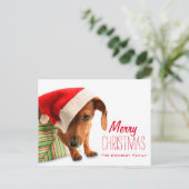 Hond in het pet van de Kerstman Feestdagenkaart (Staand voorkant)