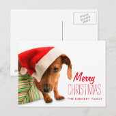 Hond in het pet van de Kerstman Feestdagenkaart (Voorkant / Achterkant)