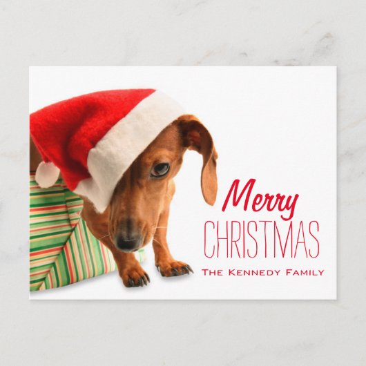 Hond in het pet van de Kerstman Feestdagenkaart (Voorkant)