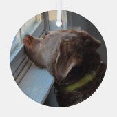 Hond in het raam glas ornament (Achterkant)