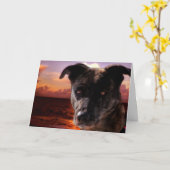 Hond in het strand, Birthday Kaart (Gele Bloem)