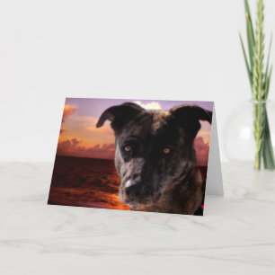 Hond in het strand, Birthday Kaart