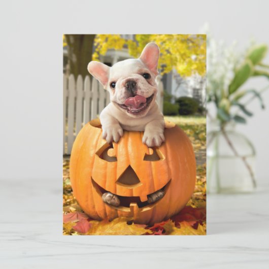Hond in Jack-o-Lantern Kaart (Staand voorkant)