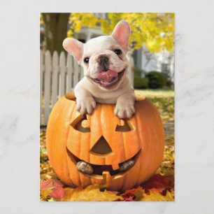 Hond in Jack-o-Lantern Kaart