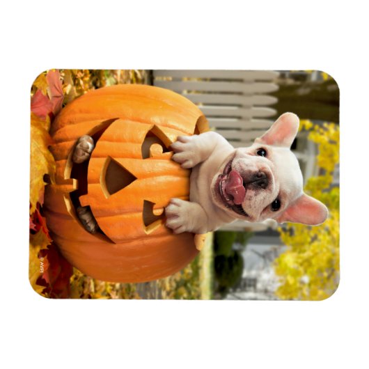 Hond in Jack-o-Lantern Magneet (Horizontaal)