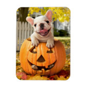Hond in Jack-o-Lantern Magneet (Verticaal)