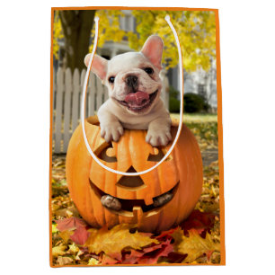 Hond in Jack-o-Lantern Medium Cadeauzakje