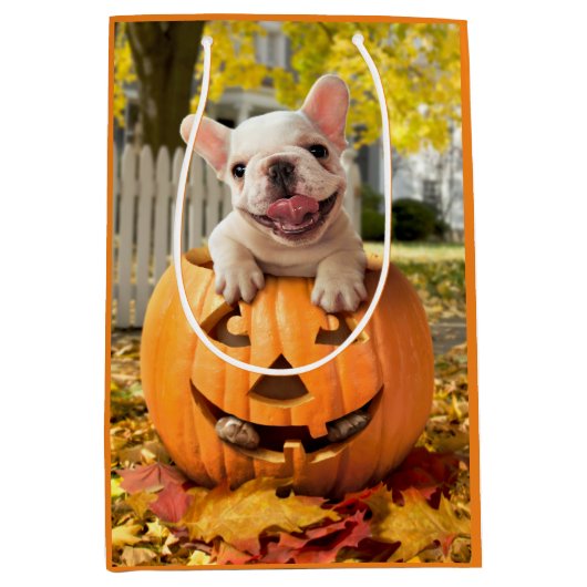Hond in Jack-o-Lantern Medium Cadeauzakje (Voorkant)
