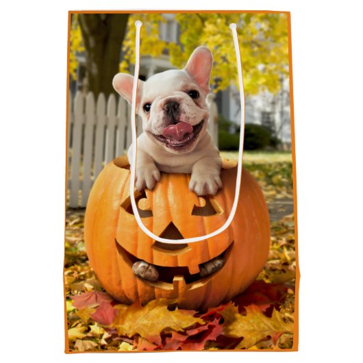 Hond in Jack-o-Lantern Medium Cadeauzakje (Achterkant)