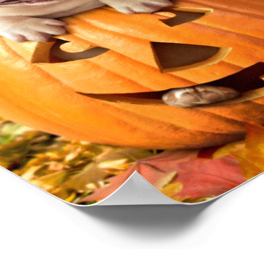 Hond in Jack-o-Lantern Poster (Hoek)