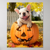 Hond in Jack-o-Lantern Poster (Voorkant)