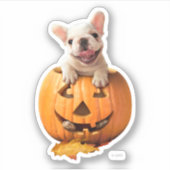 Hond in Jack-o-Lantern Sticker (Voorkant)