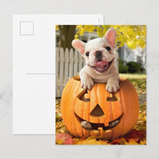 Hond in Jack-o-Lantern Uitnodiging Briefkaart (Voorkant / Achterkant)