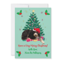 Hond in kerstmuts Foto Kerstboom Plat Kerstkaart