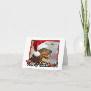 Hond in kerstmuts - Santa Paws Kerstgroet Kaart