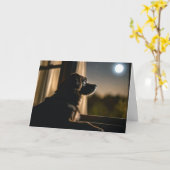 Hond in Moonlit venster voor huisdier verlies Kaart (Gele Bloem)