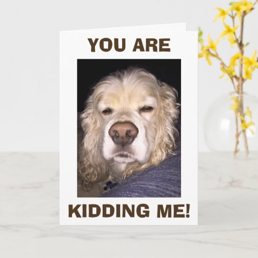 HOND IN ONGELOOF JE BENT WEER JARIG! KAART (Gele Bloem)