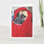Hond in rode deken portret kaart (Voorkant)