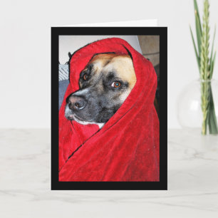 Hond in Rode Dekens Portret Kaart