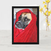 Hond in Rode Dekens Portret Kaart (Gele Bloem)