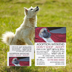 Hond in Rode Dekentje, Advertentie voor Evenement  Flyer