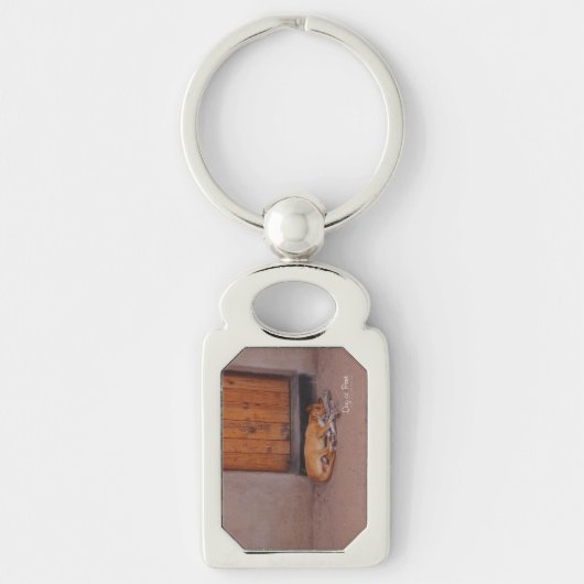 Hond in rust sleutelhanger (Voorkant)