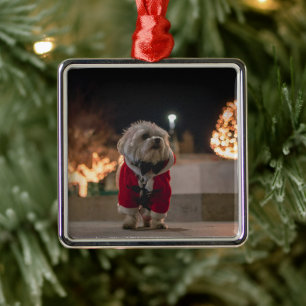 Hond in Santa Costume Metalen Ornament