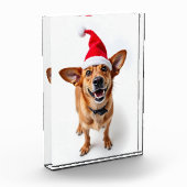 Hond in Santa Hat Fotoblokken (Links)