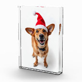 Hond in Santa Hat Fotoblokken (Rechts)