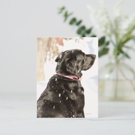 Hond in sneeuw briefkaart (Staand voorkant)