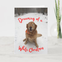 Hond in sneeuw Dreaming van witte kerst